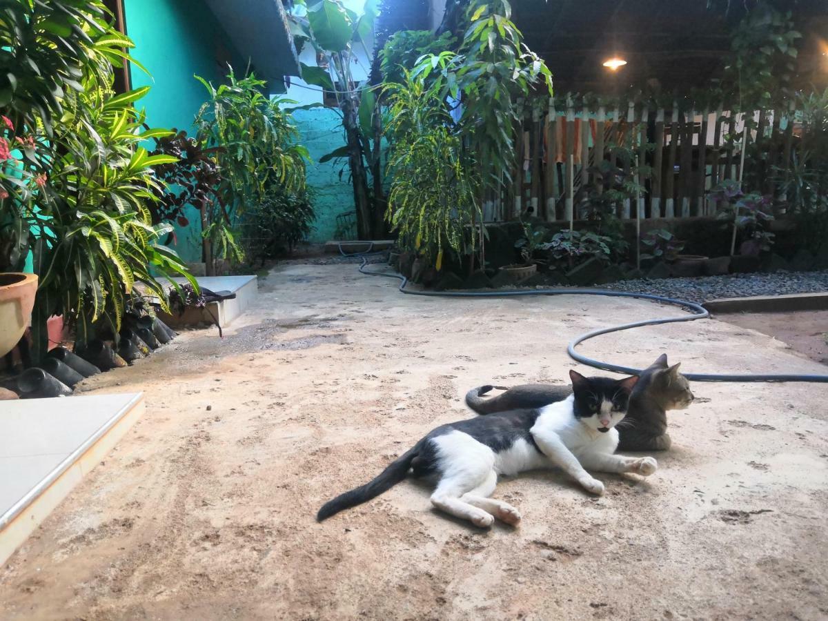 Alass Ga For Pets Lovers Trincomalee Exterior photo